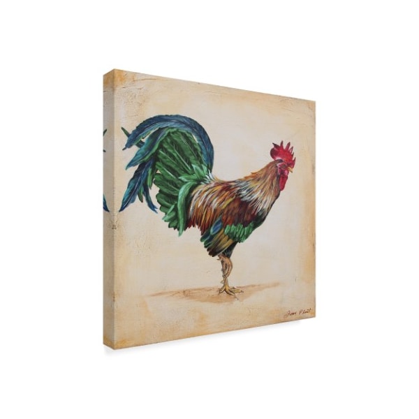 Jean Plout 'Green Feather Rooster' Canvas Art,14x14